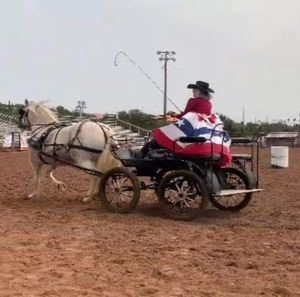 Meet your Posher, Audra